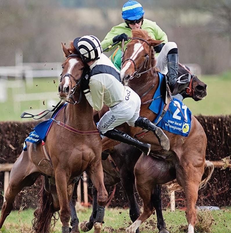 Irish Point To Point