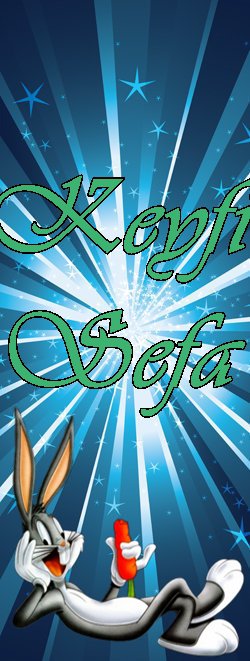 Keyfi Sefa