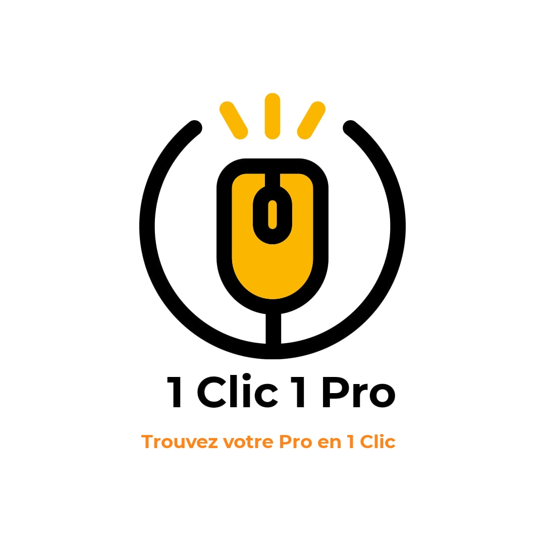 1 Clic 1 Pro