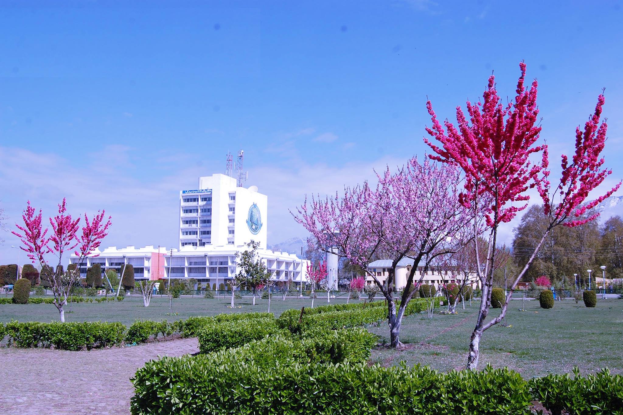 University of kashmir