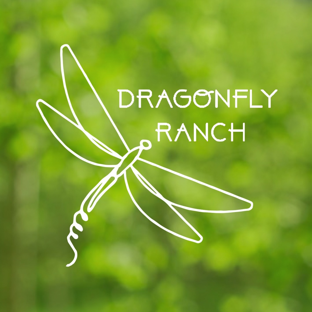 Dragonfly Ranch Equine | Oregon City OR