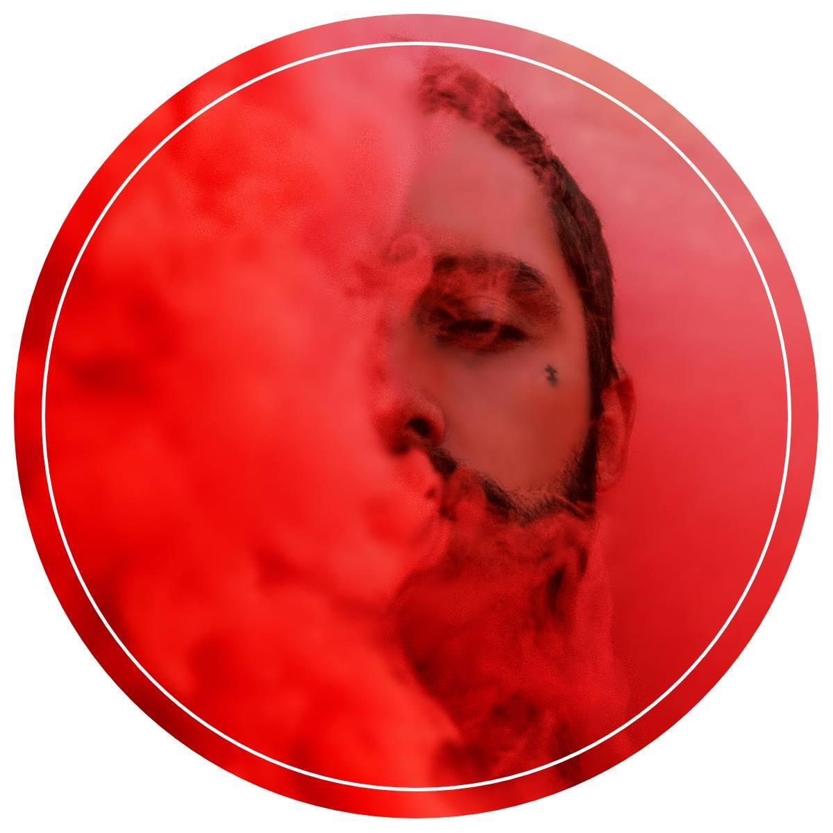 Bio Alchemy: The Daily Biohacking Podcast