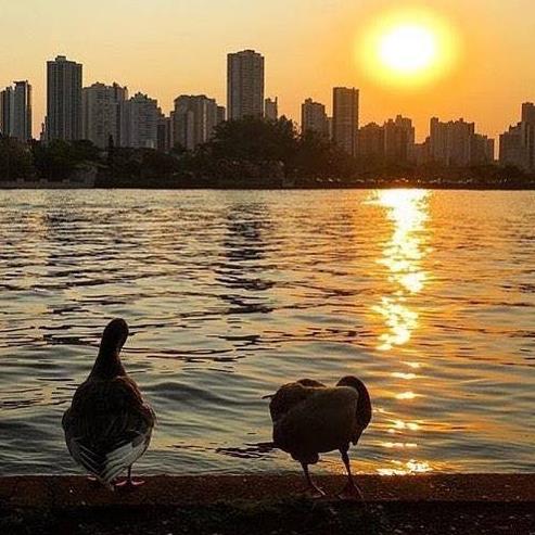 Londrina em fotos
