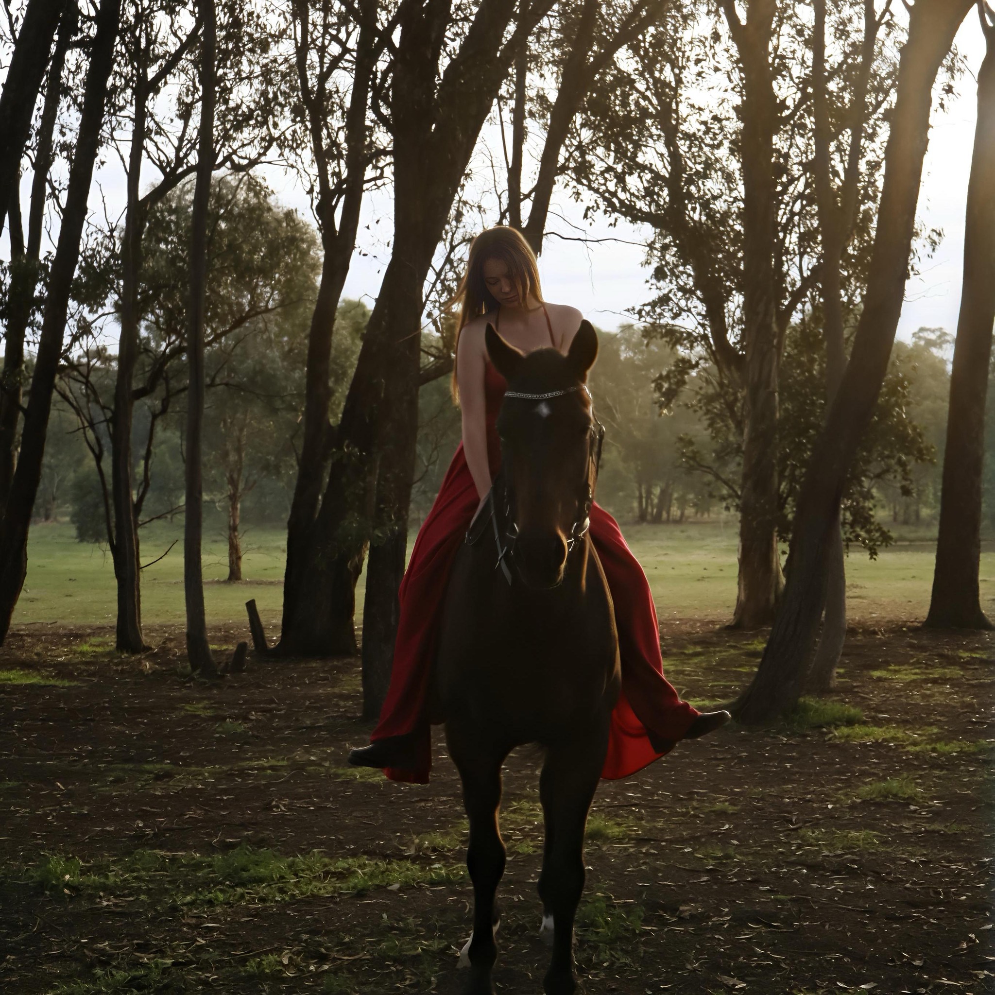 Everything Horse Bendigo | Looking for recommendations and contact ...