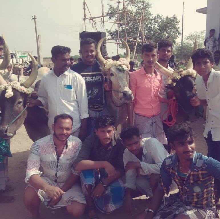 Rackla Race மாட்டுவண்டி பந்தயம்