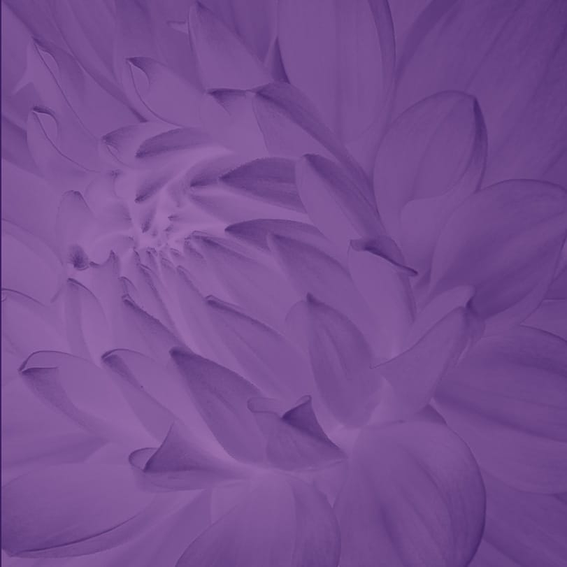 Aroma.Beauty.Blog