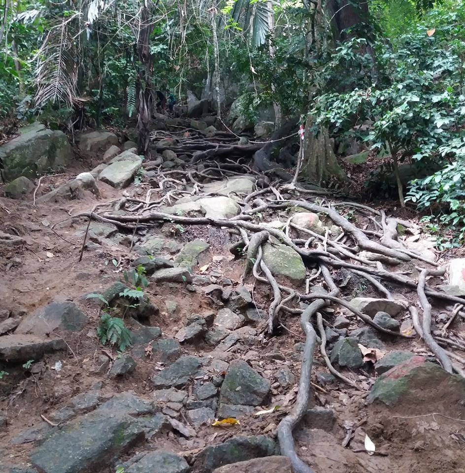 Lumbah Rimba Gunung