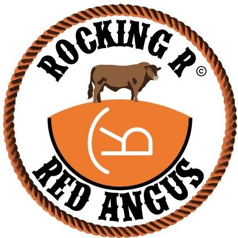 Rocking R Ranch: Red Angus and Beef | Bayard NE