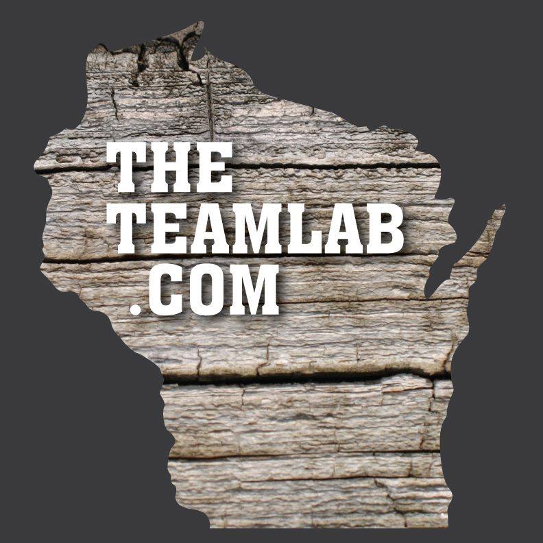 The Teamlab