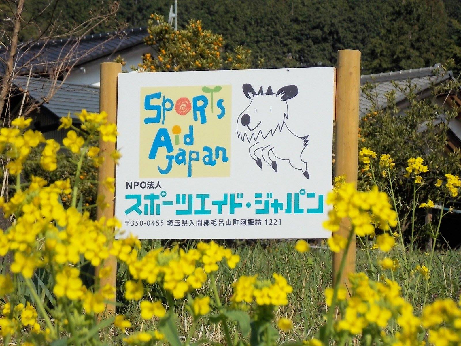活動歴および当時の関連ビジュアル記録