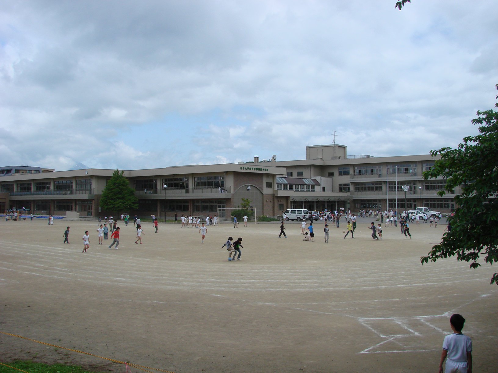 活動歴および当時の関連ビジュアル記録