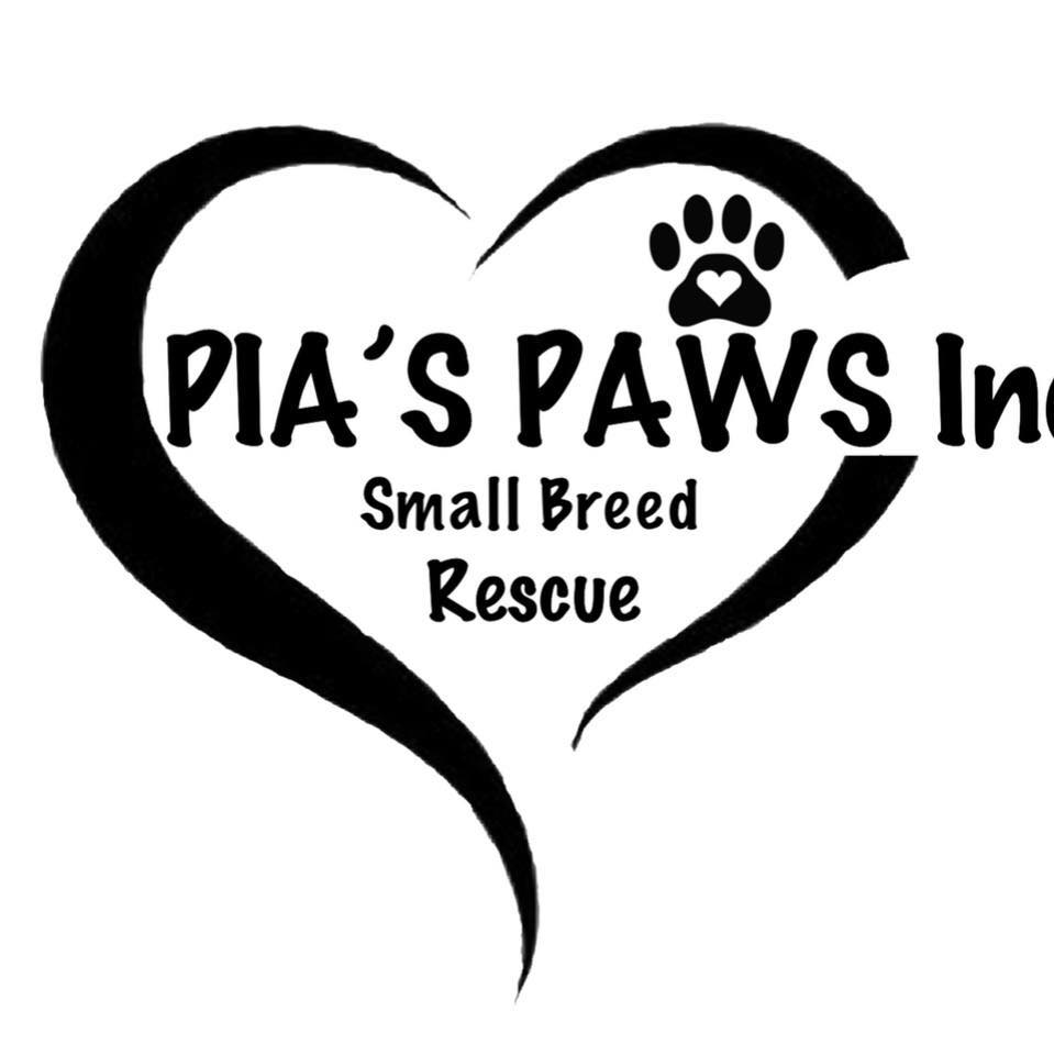 Team SCARS Adoptables - SCARS & PIA’s PAWS | Lake Havasu City AZ