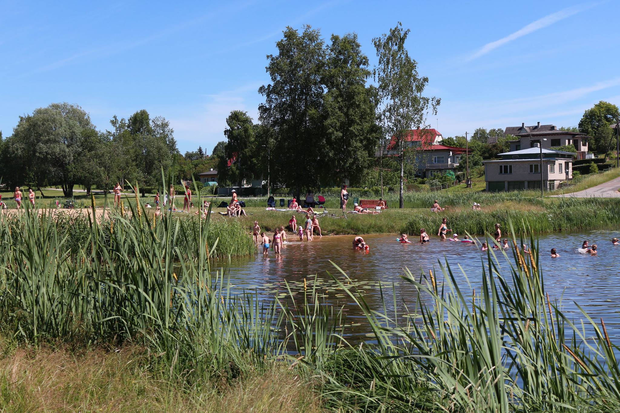 Paala järve ranna korrastamine/arendamine - Viljandi kaasav eelarve 2015