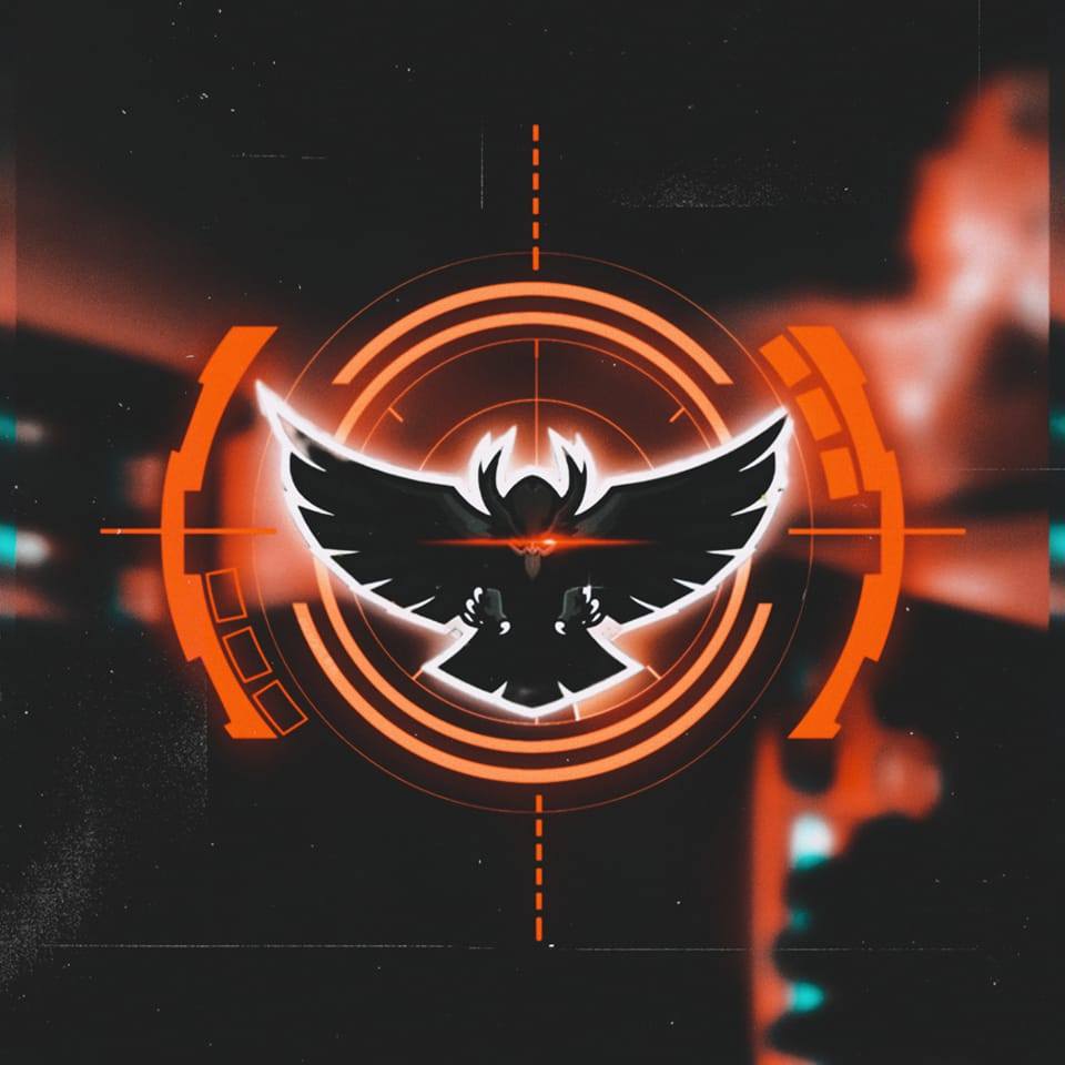 Cyber Hawks - Esports