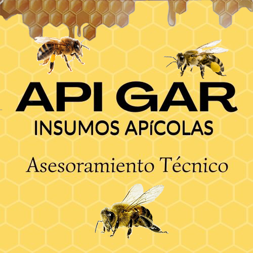 APi-GAR | Cuenca