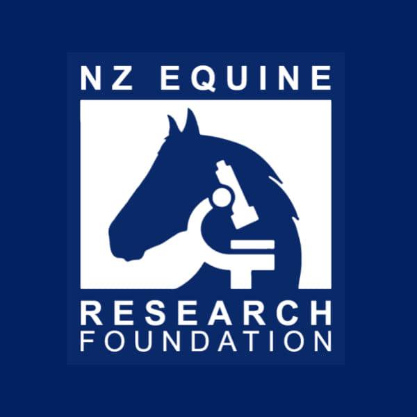 Fun in the sun for our... - NZ Horse Ambulance Trust | Facebook