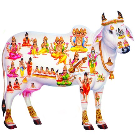 Protection of Cows
