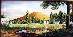 Whiting Homestead | Springerville AZ