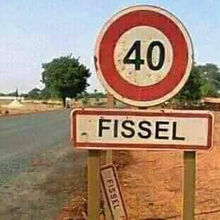 Fissel info