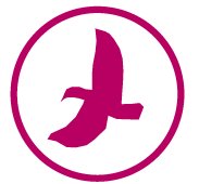 Raven Imaging | Johannesburg