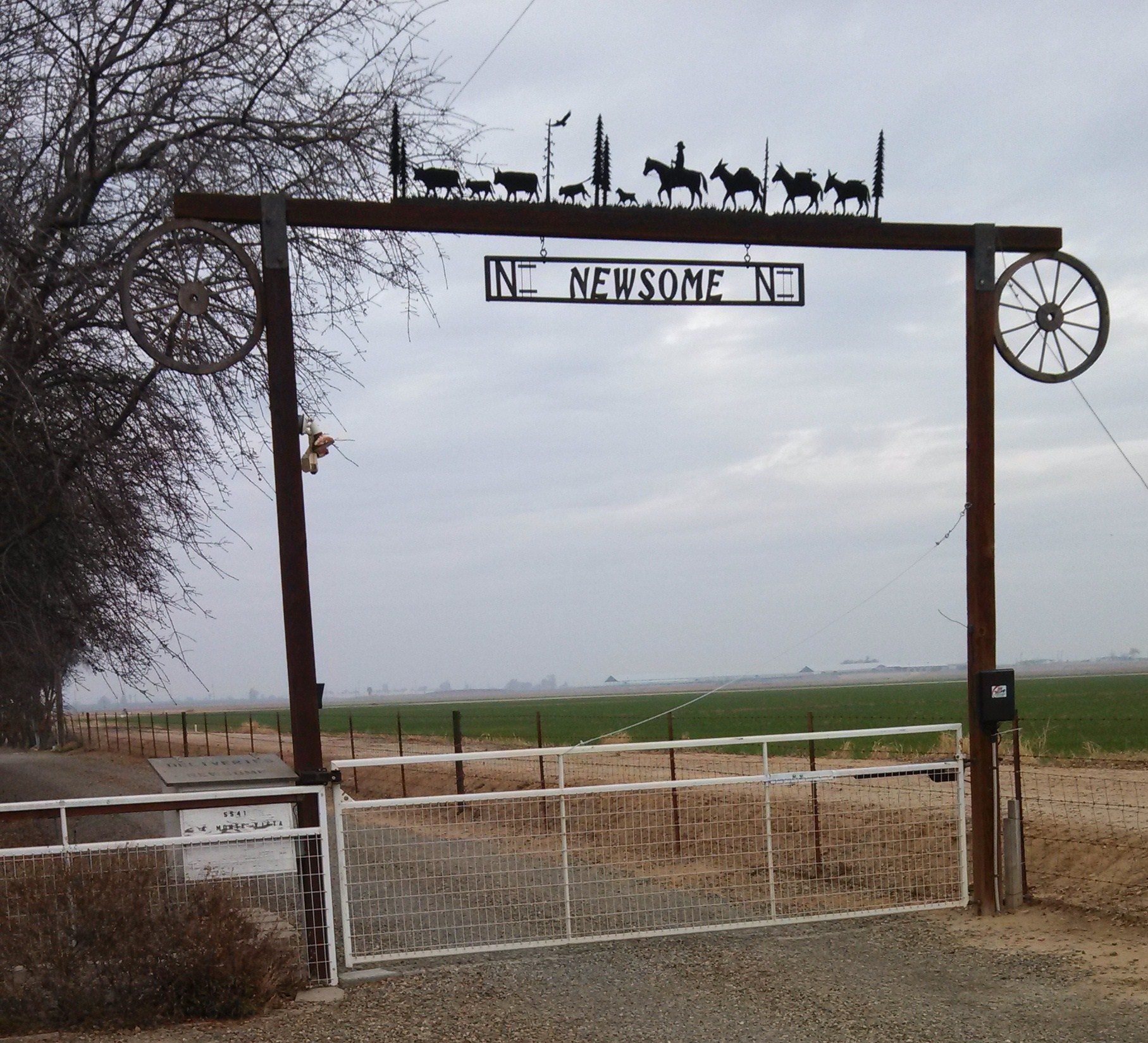 N Double Bar Boer Goat Ranch - Sandy & Barbara Newsome