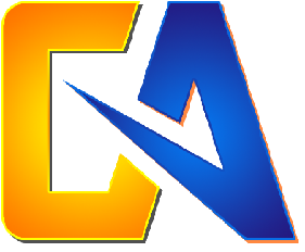 Code Ace Solutions Inc | South Plainfield NJ