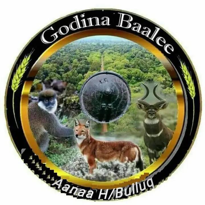 Harena Bulluk Environment,Forest and Climate Change Autority