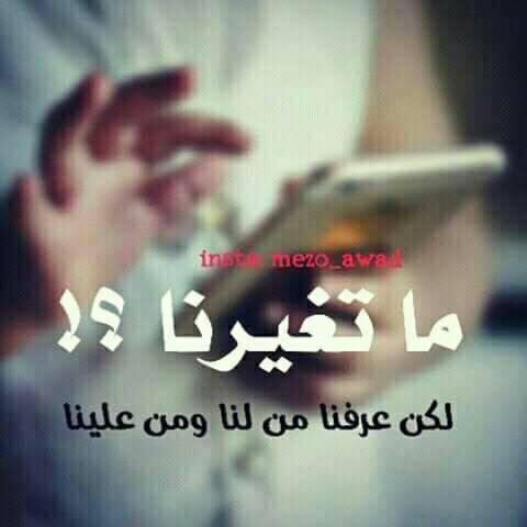 كلنا ذوق وحبنا شوق