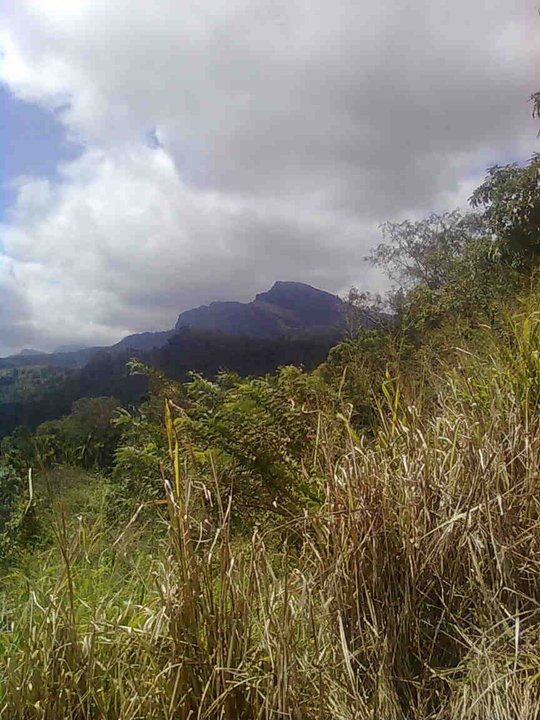 Sandun Deshan