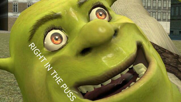 Rekt by Shrek