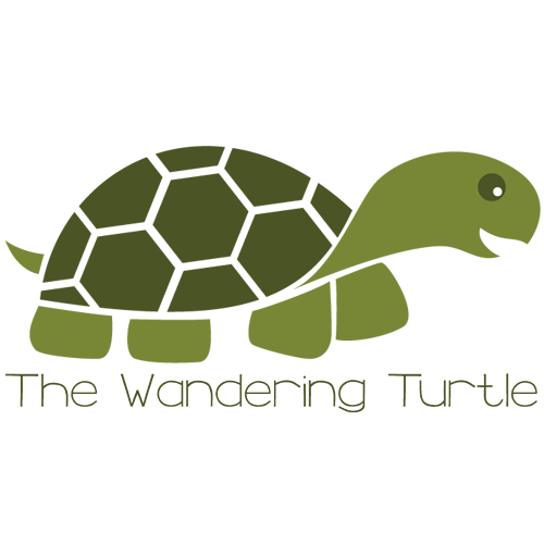 The Wandering Turtle