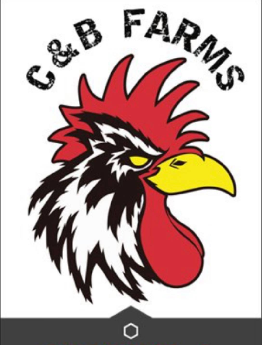 C&B Farms | Bennett NC