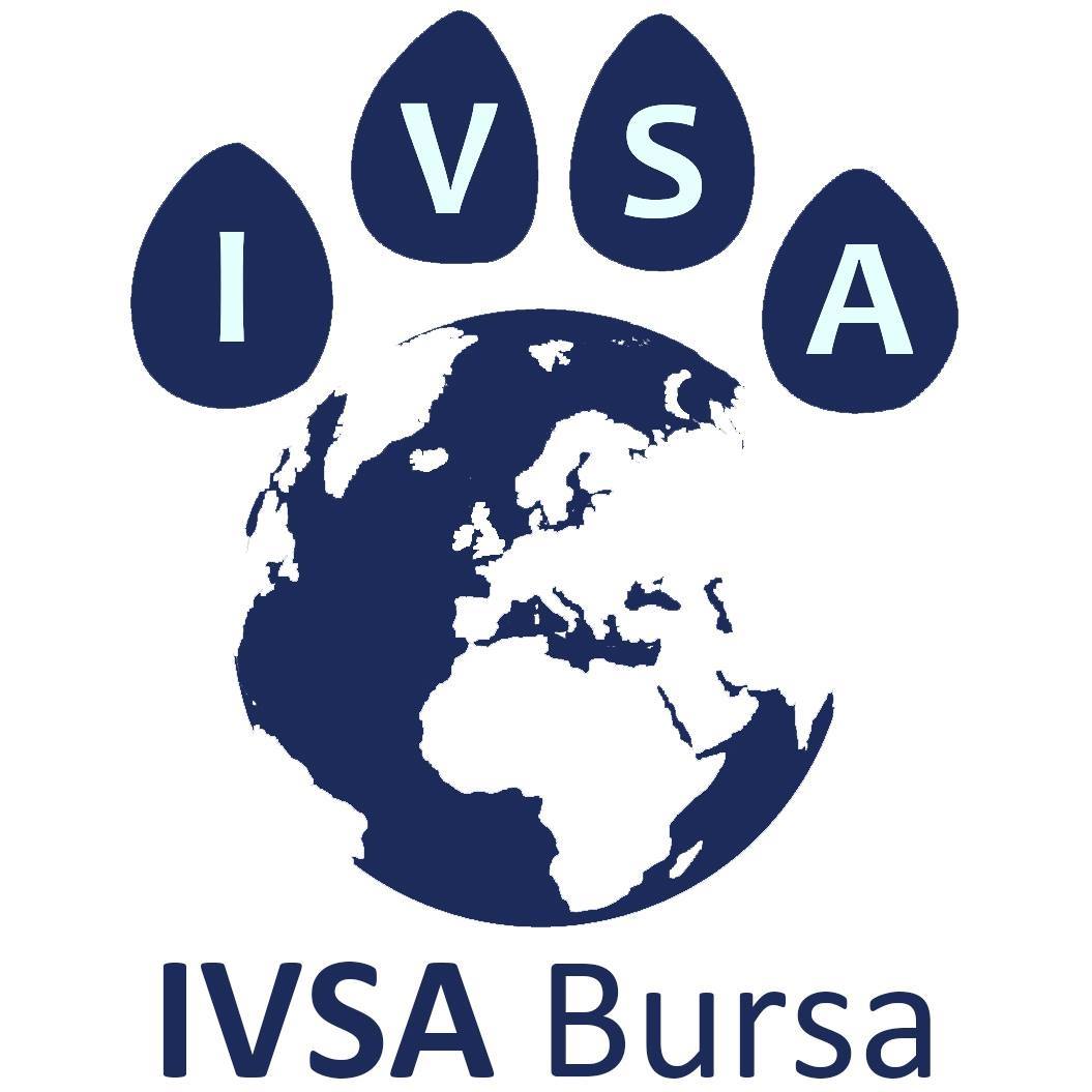 IVSA Bursa | Bursa