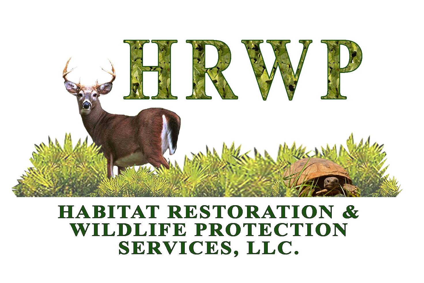 Wildlife Habitat Restoration Services Reference: Habitat Restoration And Wildlife Protection Services