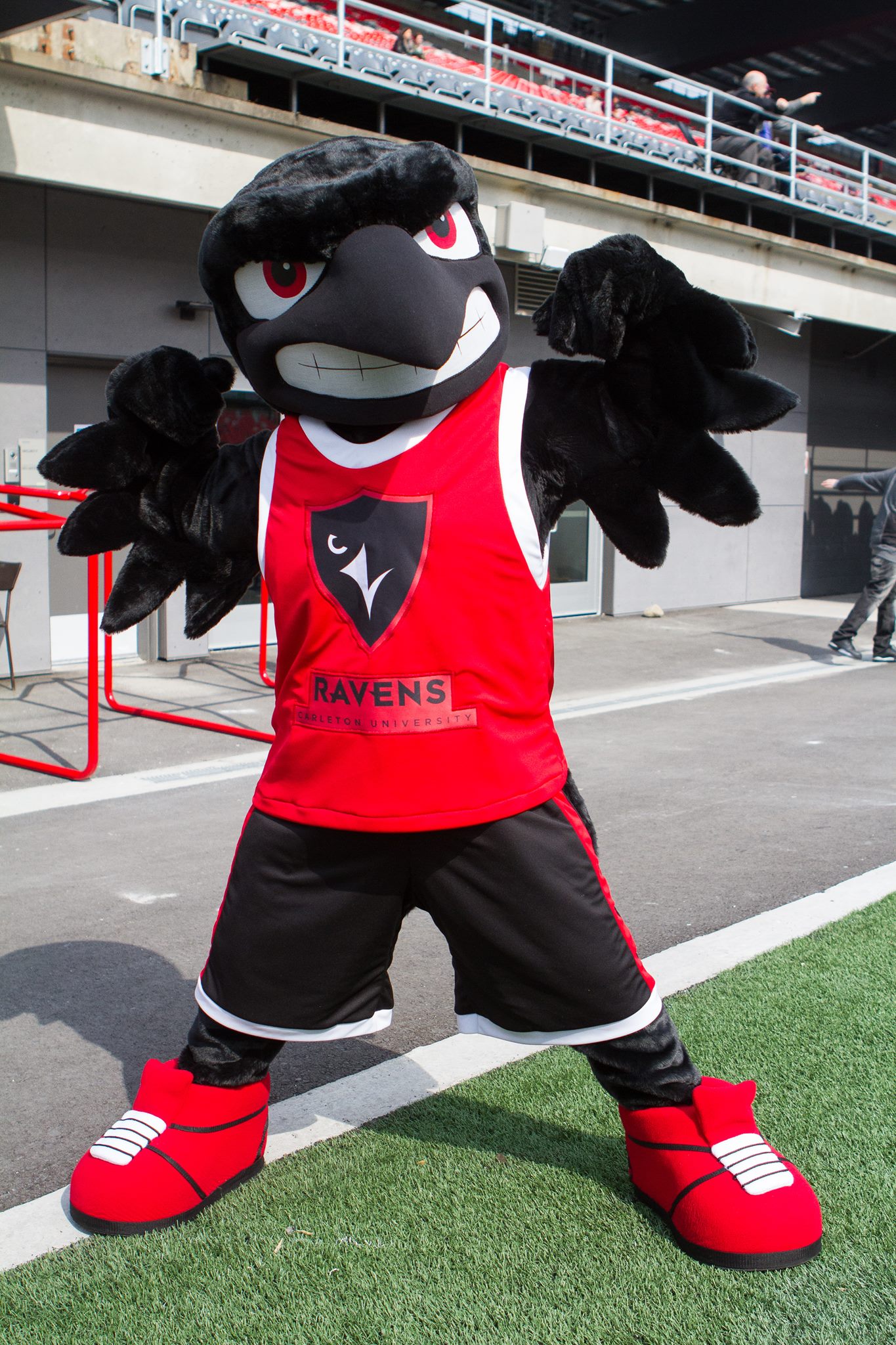 Rodney Raven