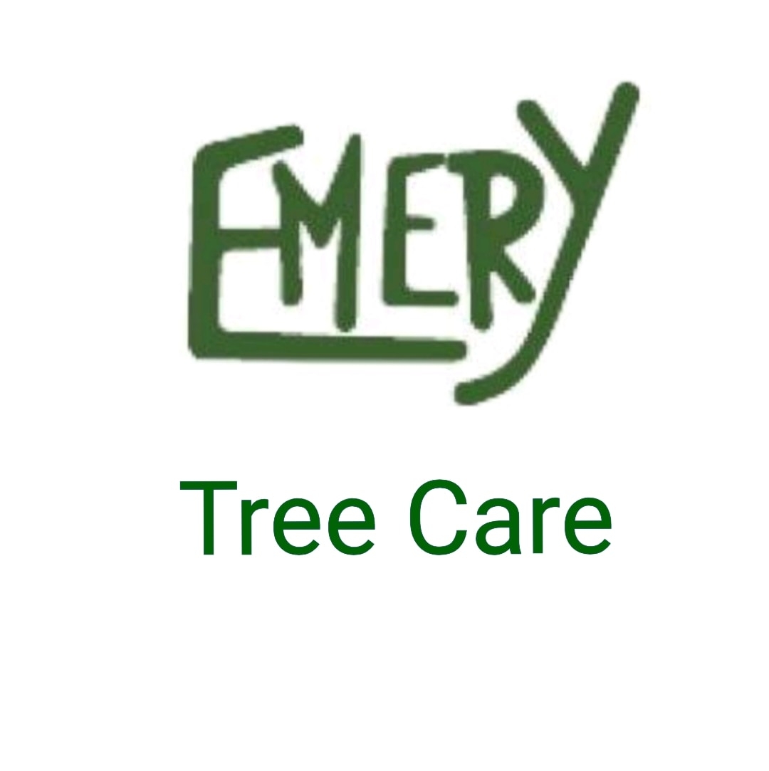 Emery Tree Care & Landscaping | Matlock