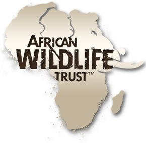Profile for African Wildlife Trust