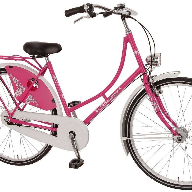 mountainbike neongelb 26 Zoll Leader Fox MXC Lady Fahrrad MTB 8 Gang Rh36 cm Neon Gelb Sport & Freizeit Access-EX – BIXS Lens Type: Single-Vision Print Options:16