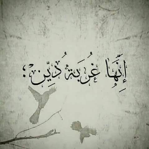 الحق واضح أبلج