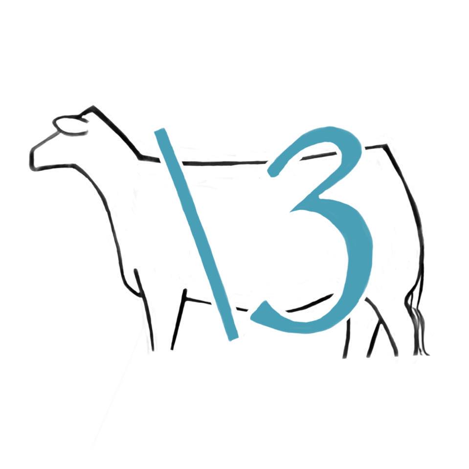 Running R Cattle | Sweet Lake LA