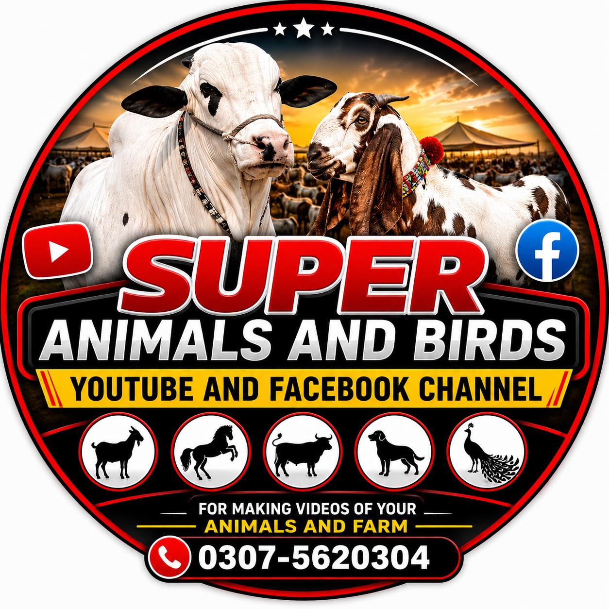 Super Animals and Bird on Reels | Facebook