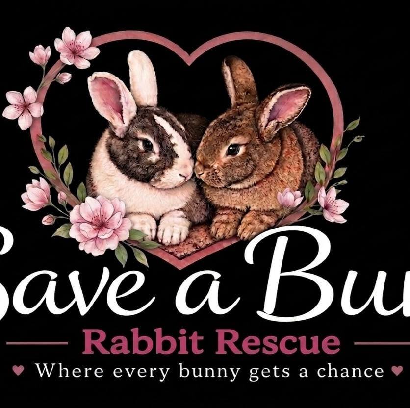 Save A Bun Rabbit Rescue - Clean out your closet for Save a Bun Rabbit ...