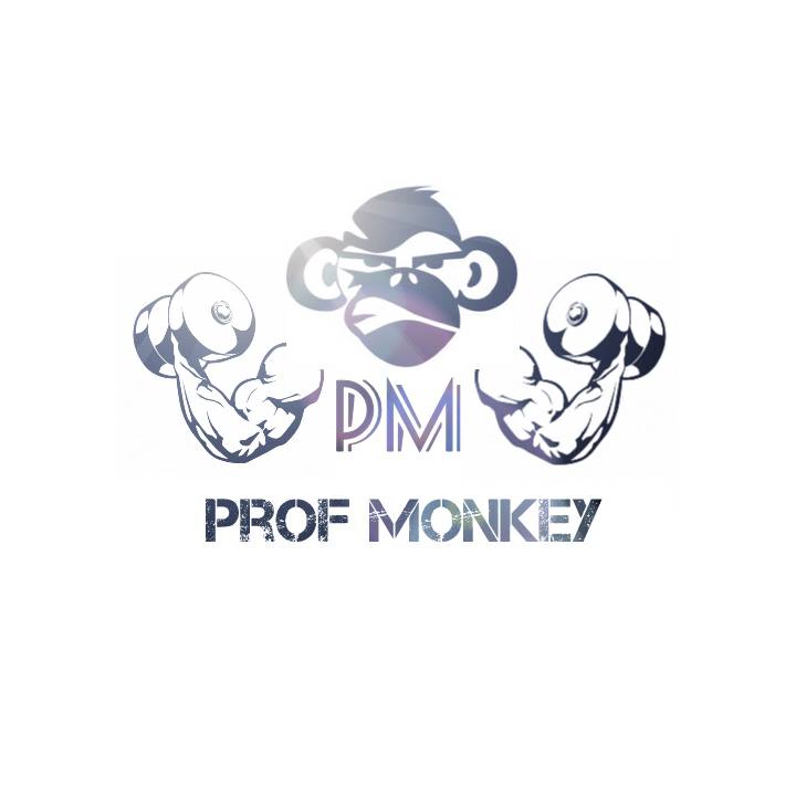 Prof_Monkey