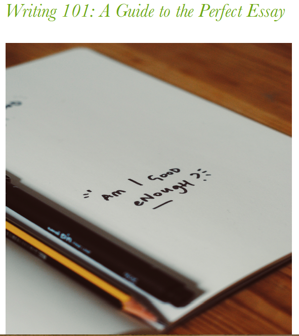 Writing 101: A Guide to the Perfect Essay