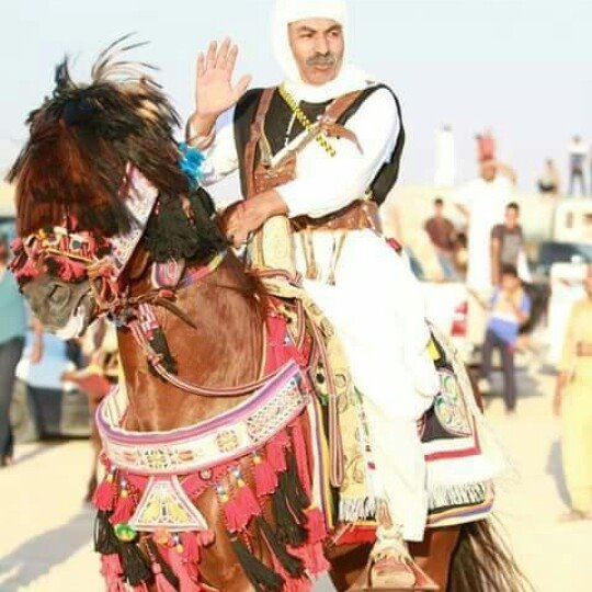 تجمع فرسان برقه ليبيا