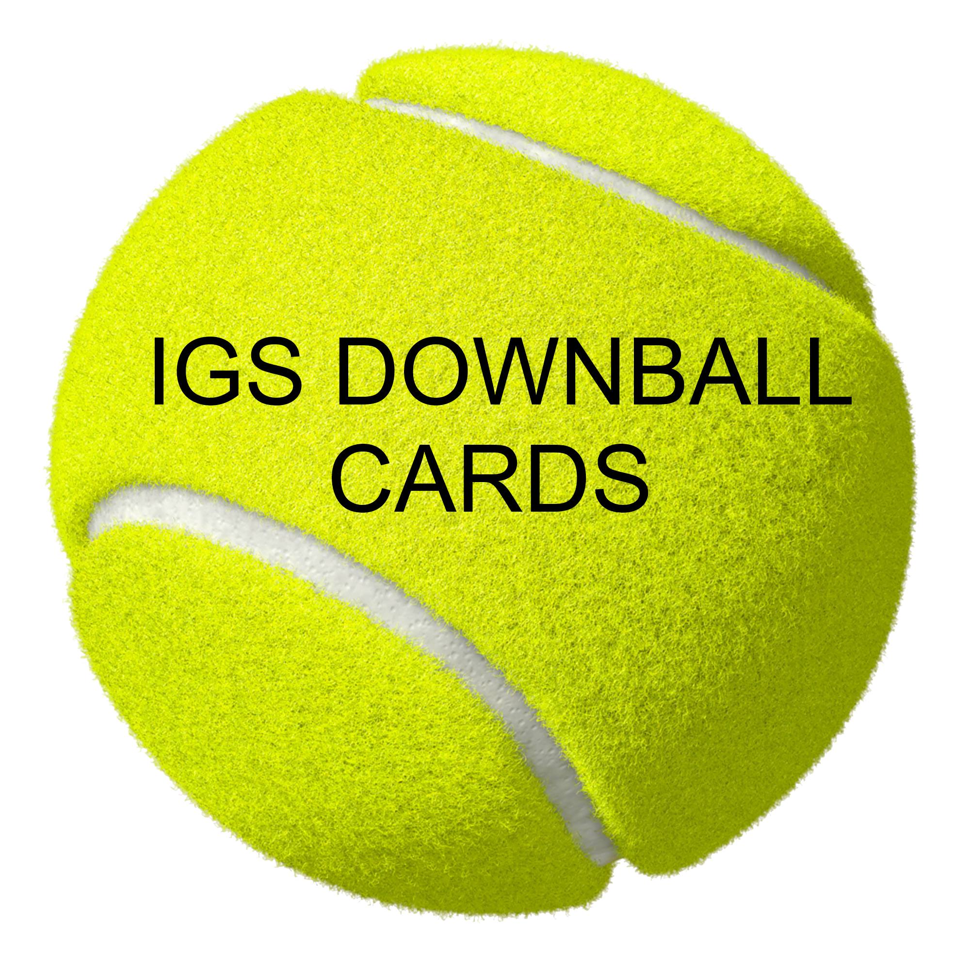 Downball Cards - Ivanhoe Grammar