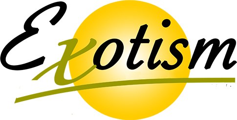 Exotism_groupe