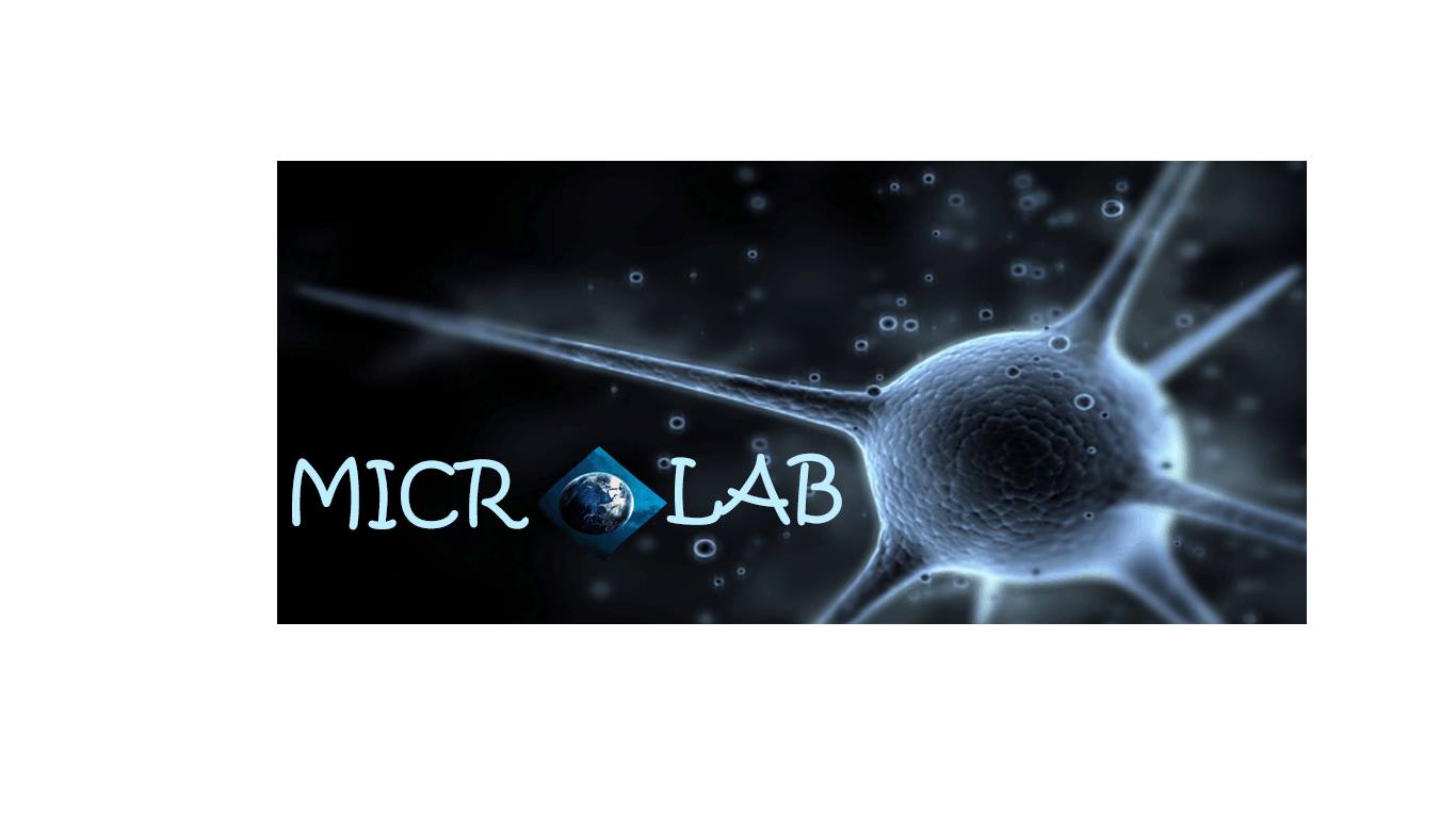 Micro Laboratorio Sa de Cv | Mexico City
