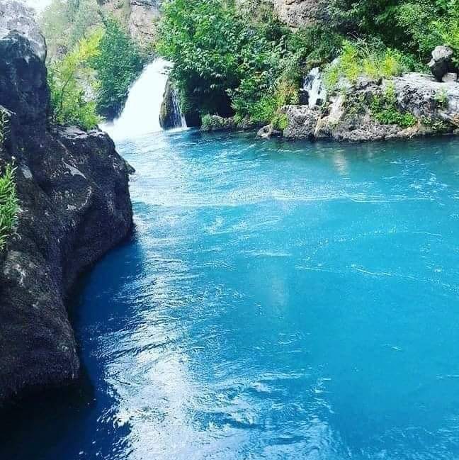 ئاڤا شین
