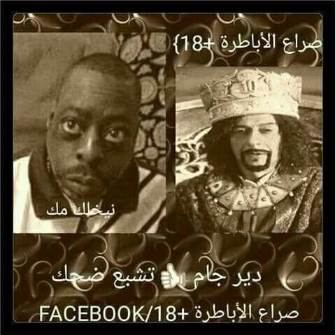 منوعات نيخلك مك لي قدو قد لبغل حميدة